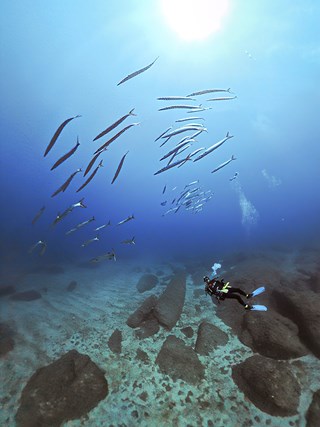 diving_capocarbonara_domuincantada.jpg